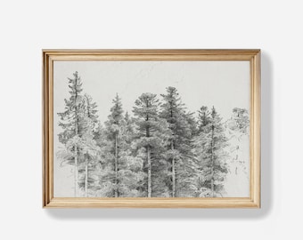 Vintage Winter Print, Antique Pine Tree Forest Sketch, Winter Pine Tree Forest Print, Neutral Winter Sketch Art, Digital Download,  D354
