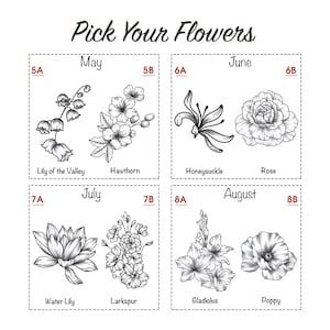 May include: A chart showing different types of flowers and the months they bloom in. The flowers are illustrated in black and white line drawings. The months are May, June, July, and August.