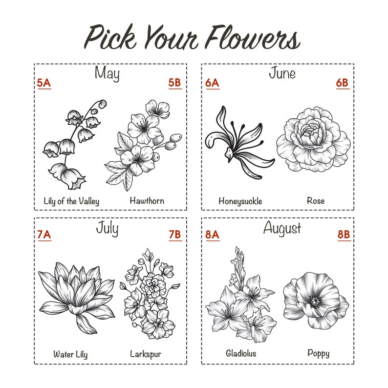 May include: A chart showing different types of flowers and the months they bloom in. The flowers are illustrated in black and white line drawings. The months are May, June, July, and August.