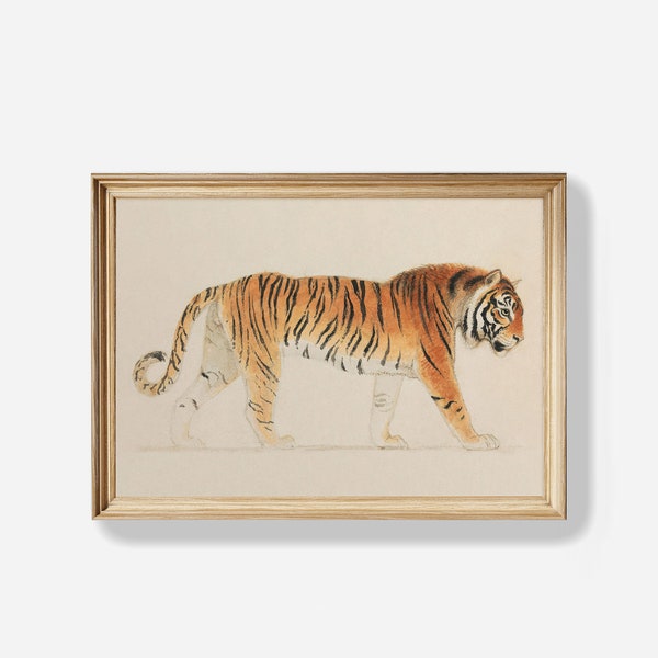 Vintage Tiger Art Print, Vintage Wall Art, Vintage Tiger Print, Muted Neutral Colors, Pacing Tiger Art, PRINTABLE Art, Digital Download, E80