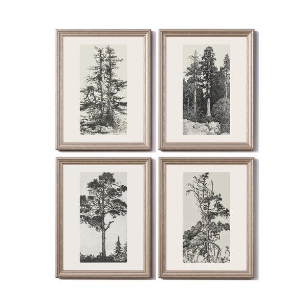 Vintage Gallery Wall Print Set, Tree Sketches Etching Print, Vintage Rustic Tree Sketches, Antique Tree Art Printable, DIGITAL DOWNLOAD, E79