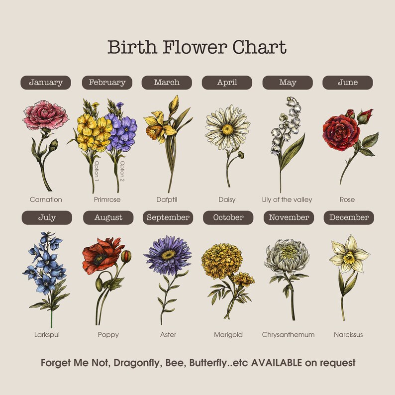 May include: A chart showing the birth flower for each month of the year. The flowers are illustrated in a vintage style with detailed drawings. January: Carnation, February: Primrose, March: Daffodil, April: Daisy, May: Lily of the valley, June: Rose, July: Larkspur, August: Poppy, September: Aster, October: Marigold, November: Chrysanthemum, December: Narcissus.