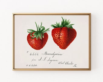 Strawberries Print, Vintage Wall Art, Fruit Wall Art, Farmhouse Kitchen Decor, Strawberry Print, PRINTABLE Wall Art, Digital Download, D421