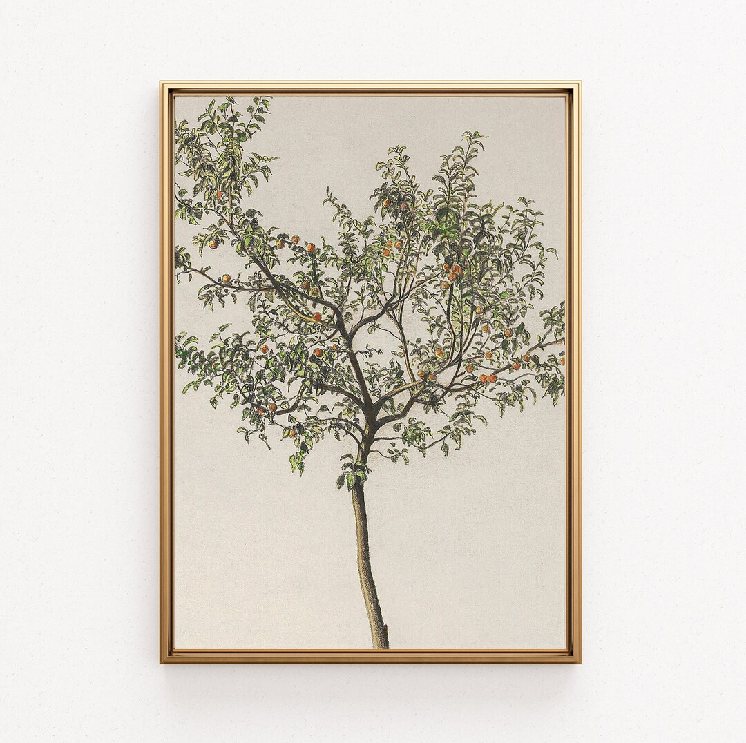 Spanish Kitchen Decor ,vintage Orange Tree Print, European Wall Art