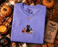 Black Cat Pumpkin Embroidered Shirt, Fall Cat Comfort Colors Tee, Halloween Cat Lover Gift, Cozy Autumn Shirt, Made in USA product logo