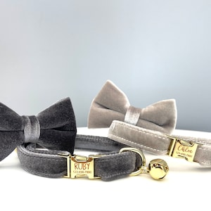 Collier de chat gris cadeau personnalisé pour collier de chat avec noeud papillon pour collier de chat collier de nom personnalisé pour collier de chat velours, collier de chat d'automne
