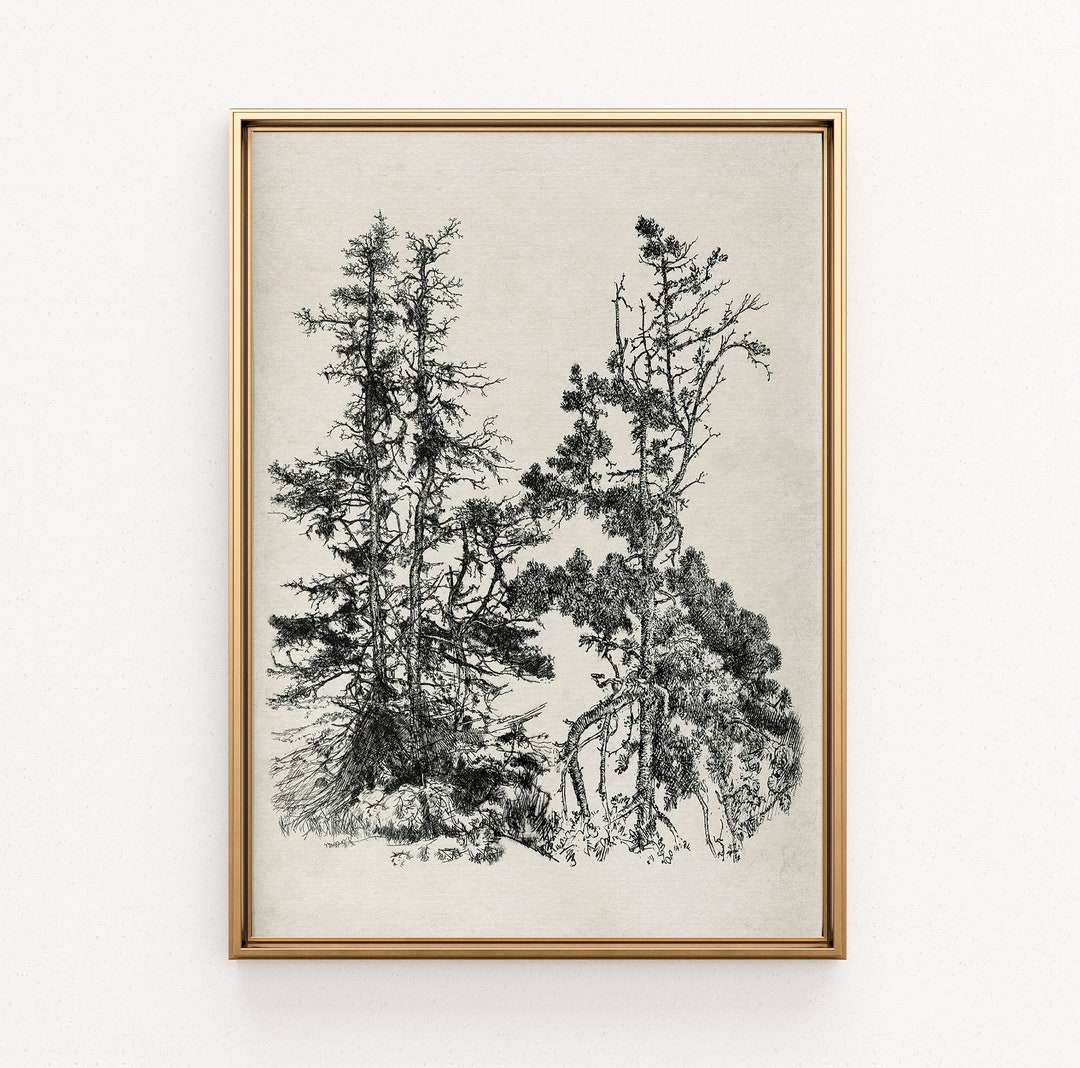 Rustic Pine Tree Sketch Printable Art, Vintage Art Print, Vintage ...