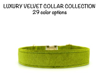 Lime Green Dog Collar Personalized Cat Collar With Name Tag Dog Collar Custom Engraved Gift For Dog Collar Velvet Yellow+ 29 COLOURS