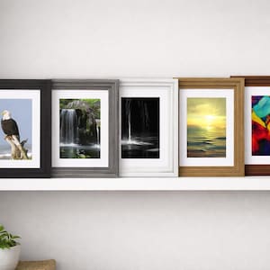 May include: Five rectangular picture frames with white matting arranged in a row. The frames feature different finishes including black, gray, white, light wood, and dark wood, each displaying a unique nature-themed photograph inside.