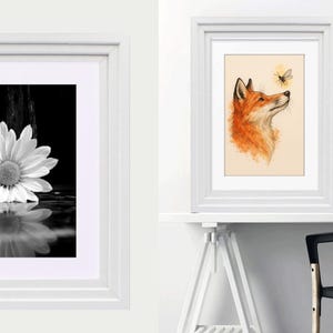 May include: Two framed wall art pieces. The left frame contains a black and white photograph of a daisy with a reflection. The right frame features a watercolor illustration of an orange fox looking up at a small bee, displayed on a white desk.