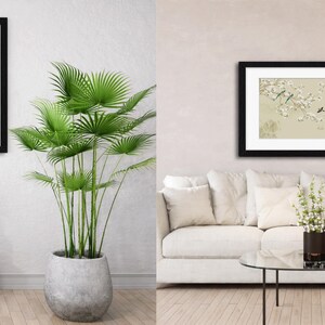 May include: Two framed wall art prints. The left print depicts a figure on a rearing horse wearing a red cape. The right print shows a horizontal landscape with white blossoms and birds on a light background. Both are in black frames with white mats.