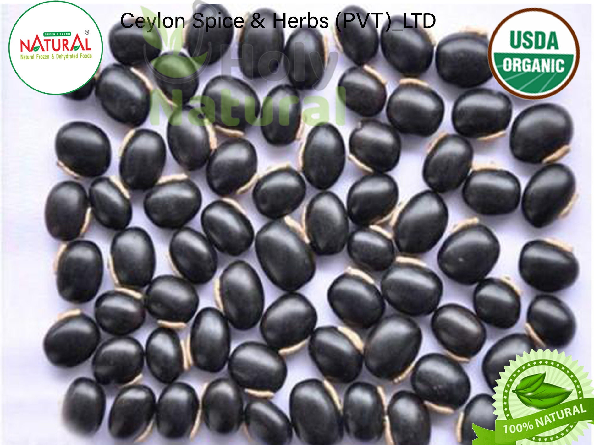 100 Velvet Bean Seeds Organically Grown Mucuna Pruriens Etsy
