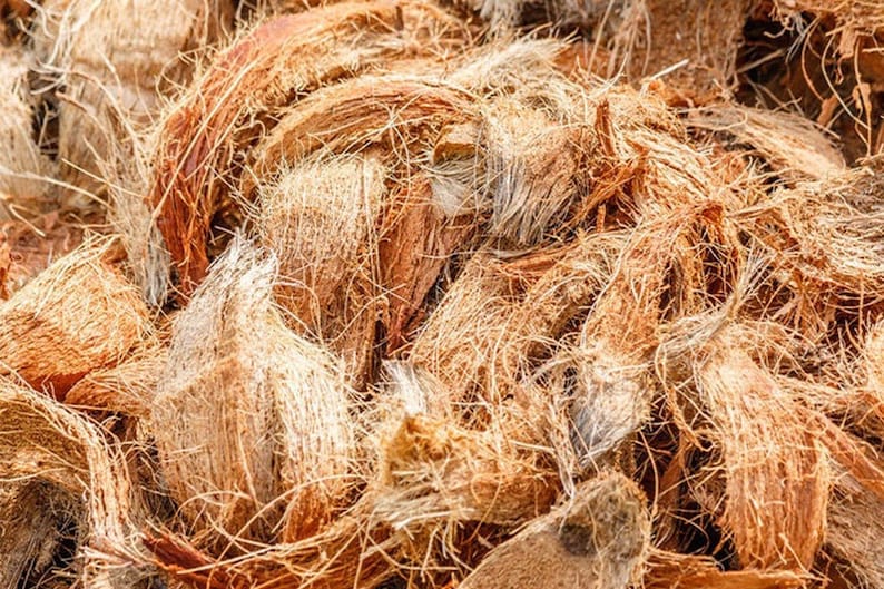Pure Organic Coconut Husk gift Fiber Unprocessed Anthuri Orchid For Manufacturer regenerated product
