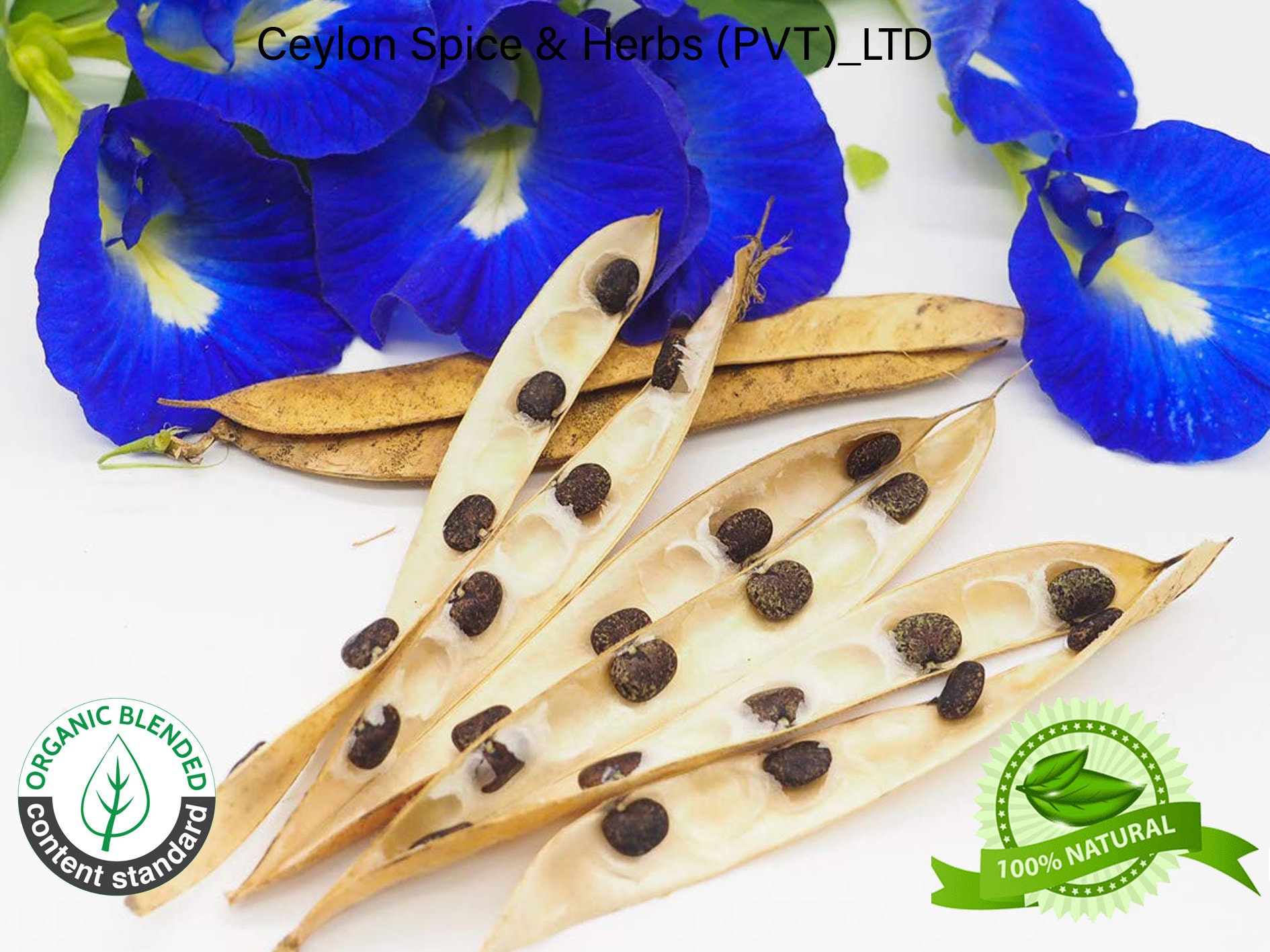 100 of Butterfly Pea Flower Seeds Rare Grown by Own Yard Etsy