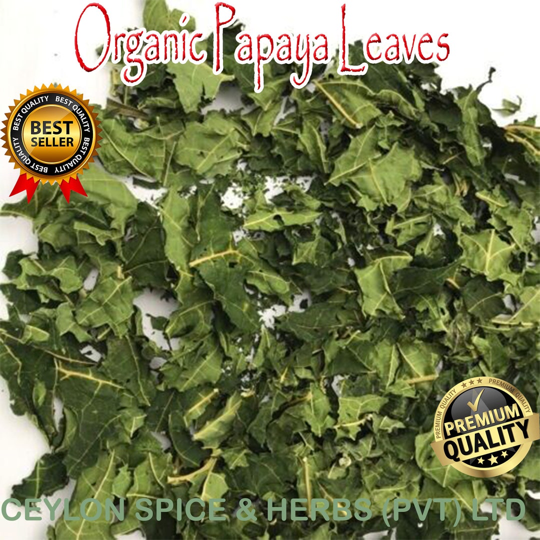 Papaya BlätterBio Papaya Blätter 1 KG BULK frisch auf Etsy.de
