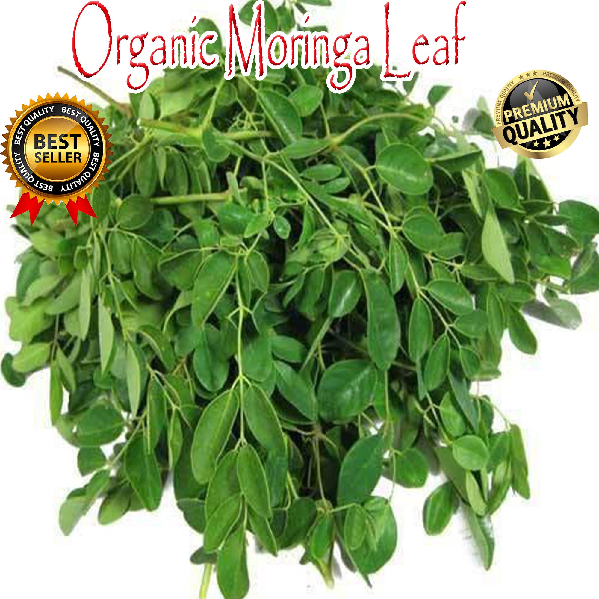 Moringa Leaf 2KG BULK Pure Organic Moringa Leaf freshly