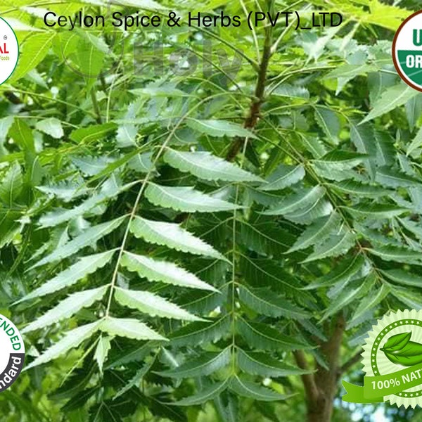 Neem Leaves ,Organically Grown 100% Pure ,Picked fresh to order ,Natural Air dehydrate ,Natural Neem Leaves ,Organic