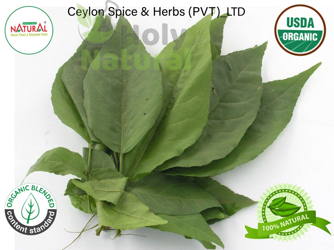 Bel Leaves bael Leaves wood Apple organic Dried Bael Leaves Etsy