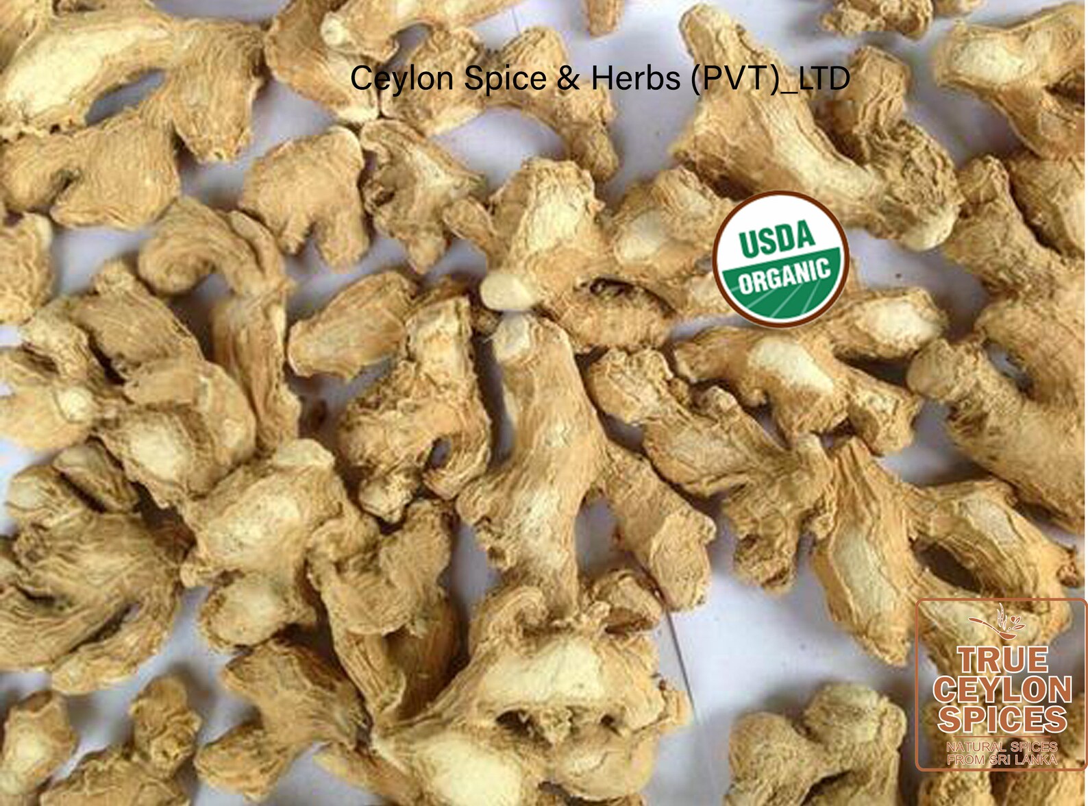 Ginger Root Dried Ginger High Quality Spices Whole Etsy