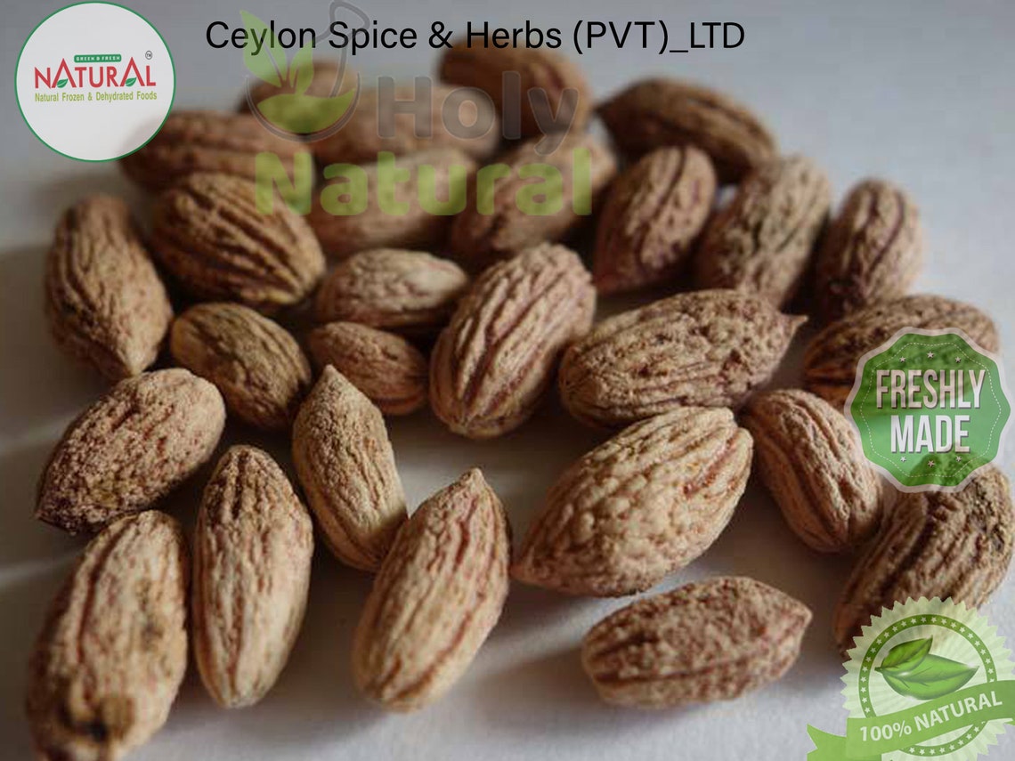 Olive Tree Seeds High Quality 50 bulk seeds Sprout Rate Etsy