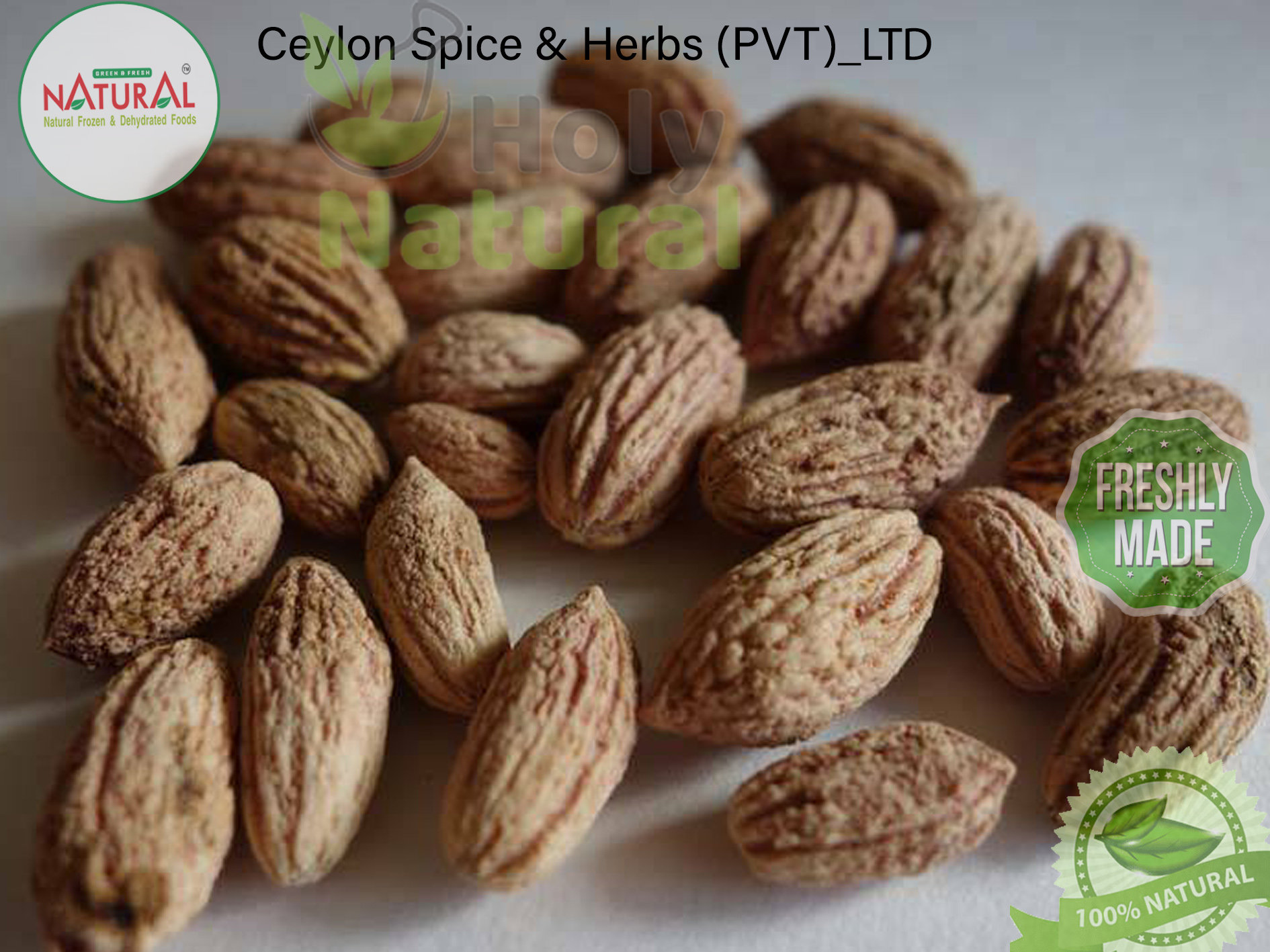 Olive Tree Seeds High Quality 50 bulk seeds Sprout Rate Etsy