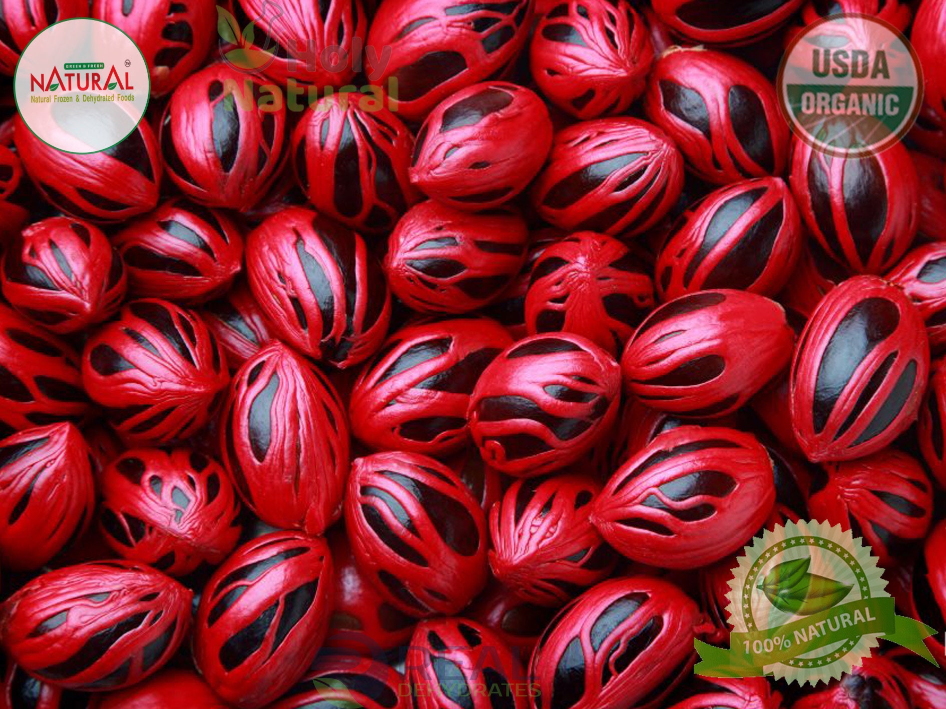 Mace Powder Mace blades Pure Organic Mace hole/cut and Etsy