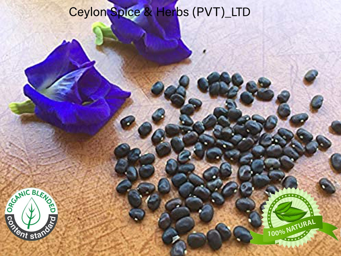 100 Of Butterfly Pea Flower Seeds Rare Grown By Own Yard Etsy