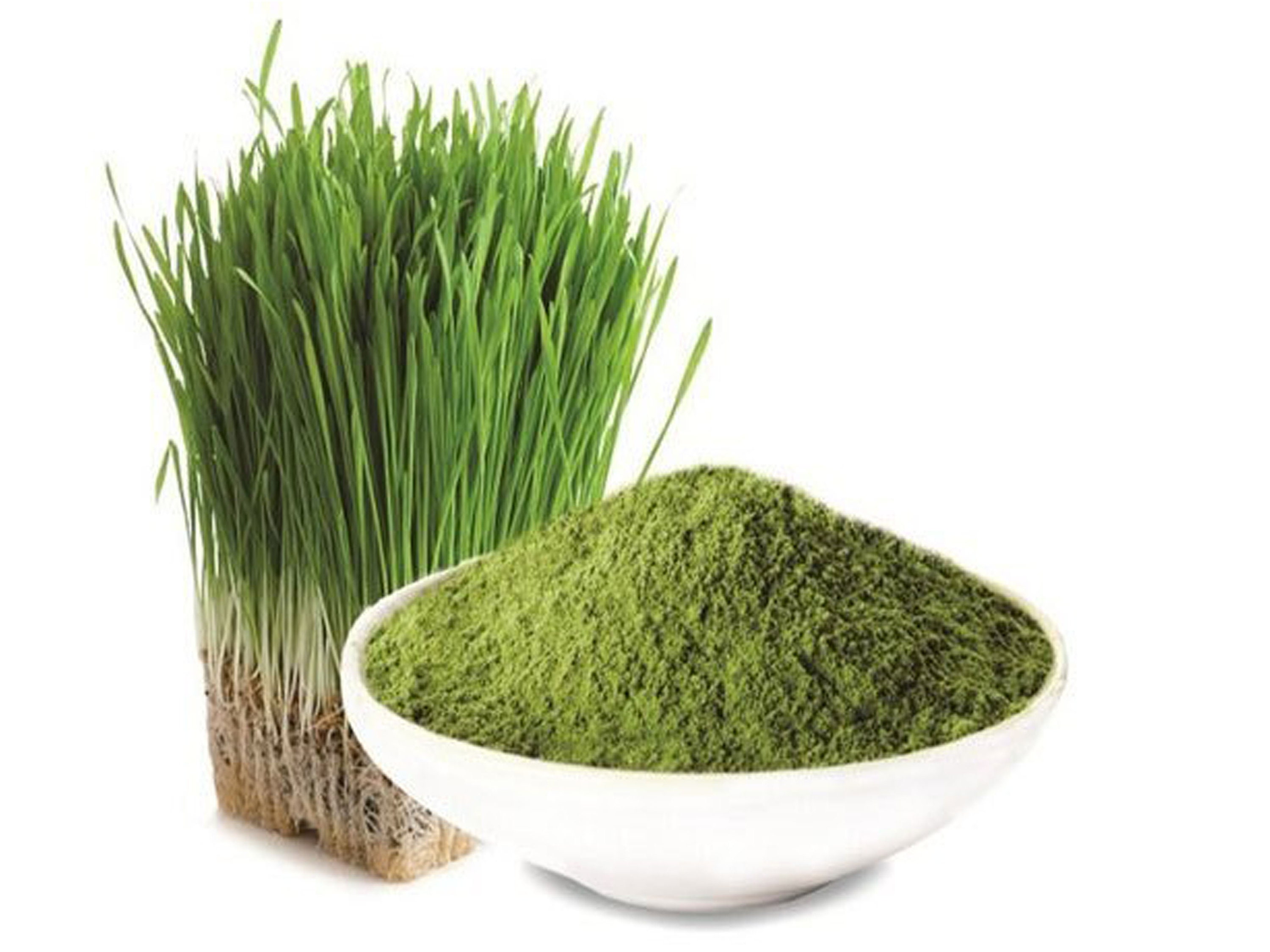 有機大麦グラスパウダー注文に応じて正確なパウダーに採れたての脱水ブレンドスーパーフードダイエットビタミンスムージー Etsy 日本