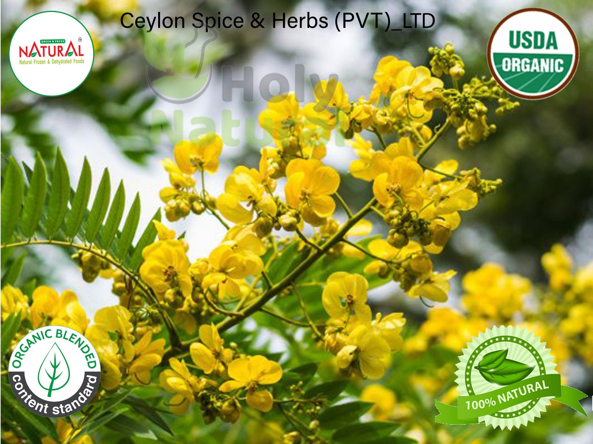 Senna Leaf Pure Organic Senna Leaf Extract Powder | Etsy