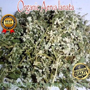 Organic Aerva lanata ,1 KG ,Balipoovu ,Magical Ayurveda ,Freshly Picked Dehydrate To Order ,Natural Color ,Not Sun Dried image 3