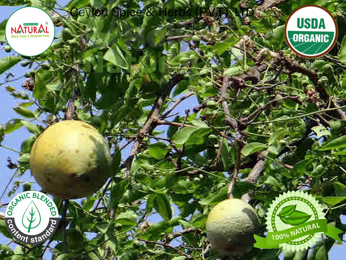 Bel Leaves bael Leaves wood Apple organic Dried Bael Leaves Etsy