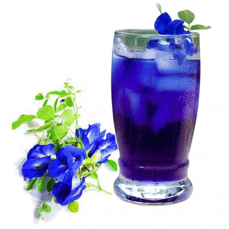 100 Dried Butterfly Pea Flowers Blue Herbal Tea Butterfly Etsy