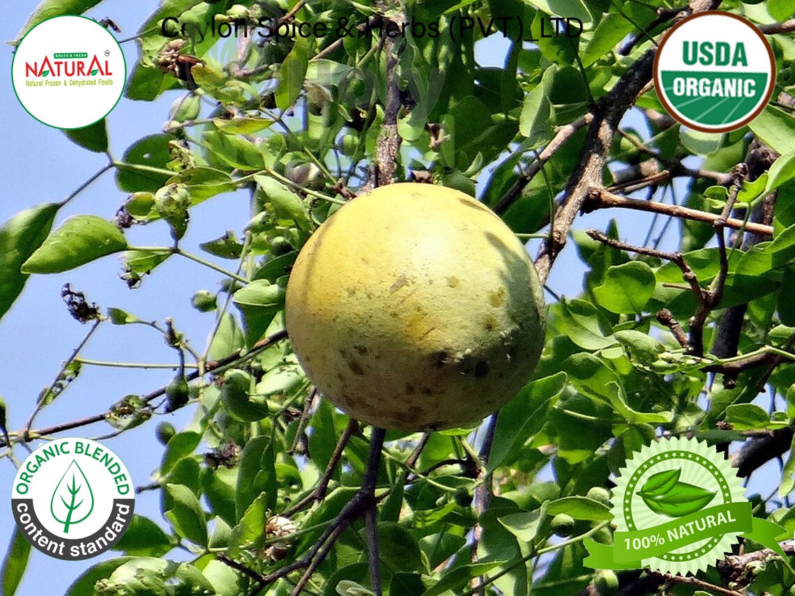 Bel Leaves bael Leaves wood Apple organic Dried Bael Leaves Etsy