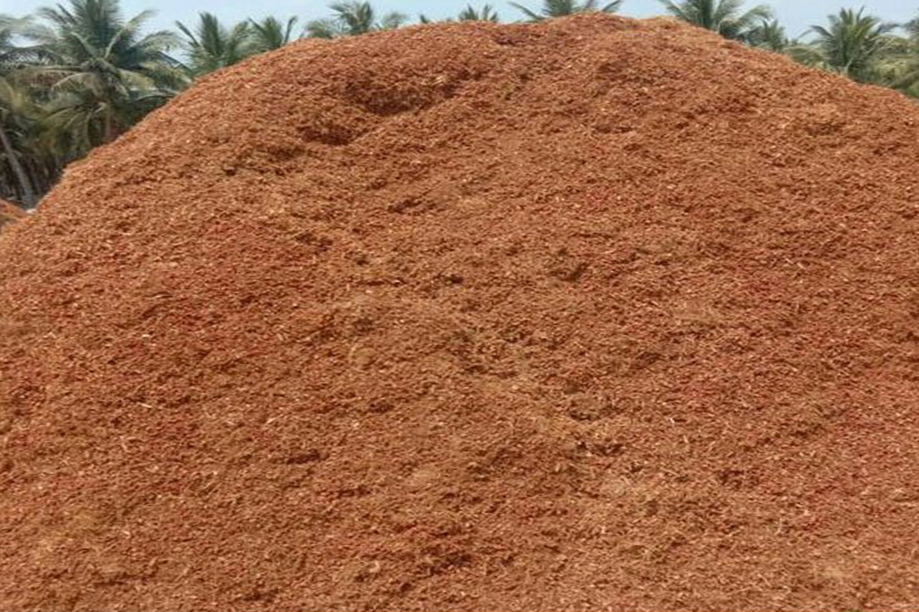 ココピートココナッツの殻ココピートファイバー蘭アンスリウムのためのココピート堆肥ココピート有機土壌水耕栽培基質 Etsy 日本