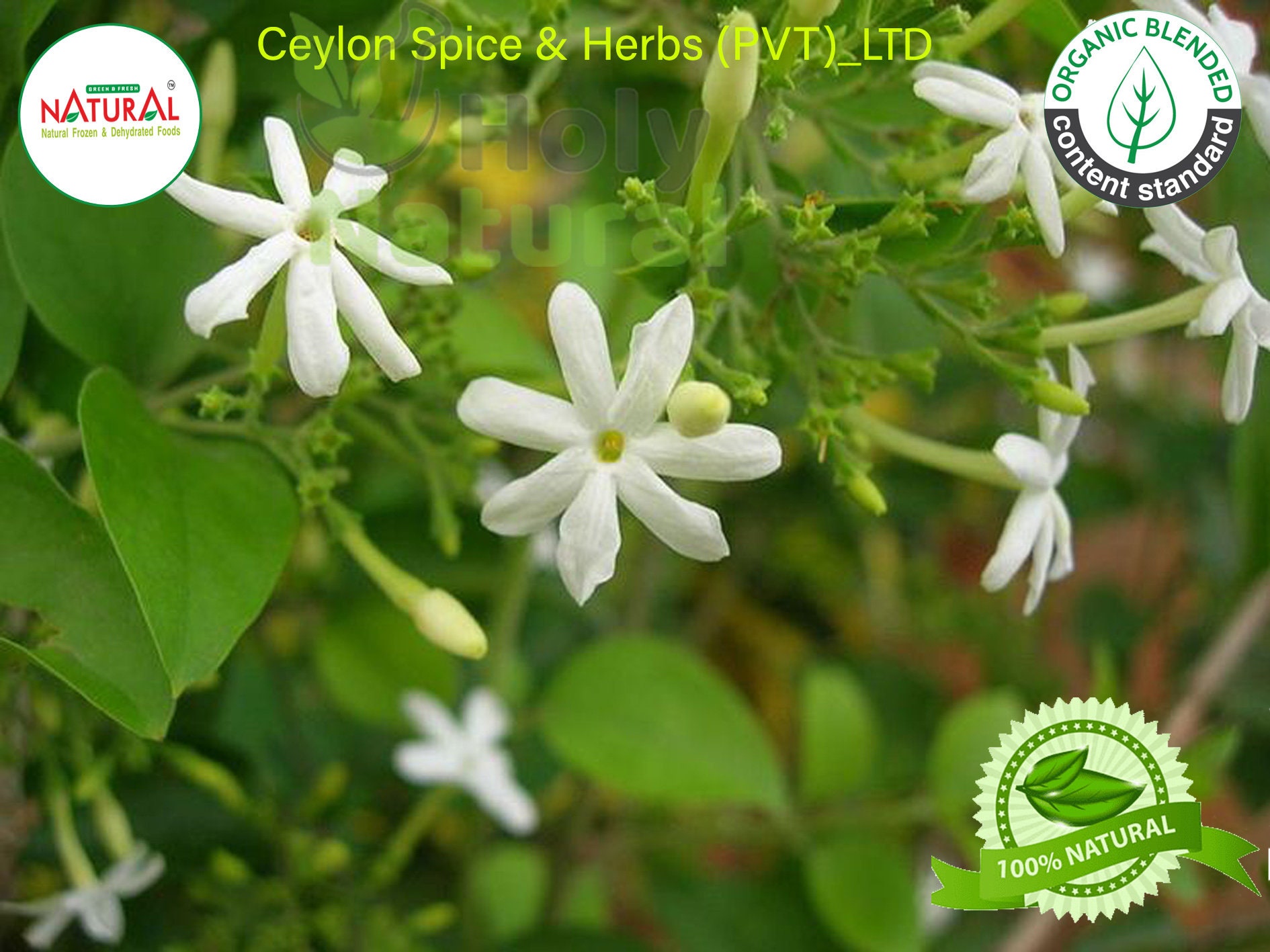 Jasmine FlowersDried OrganicJasmine TeaFlower TeaHerbal Etsy