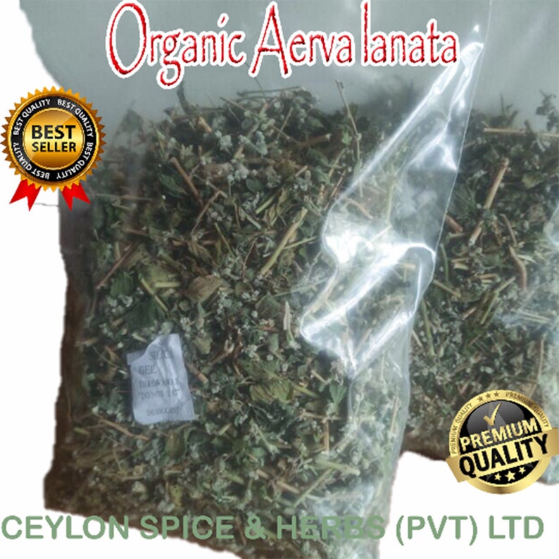 Organic Aerva lanata ,1 KG ,Balipoovu ,Magical Ayurveda ,Freshly Picked Dehydrate To Order ,Natural Color ,Not Sun Dried image 4