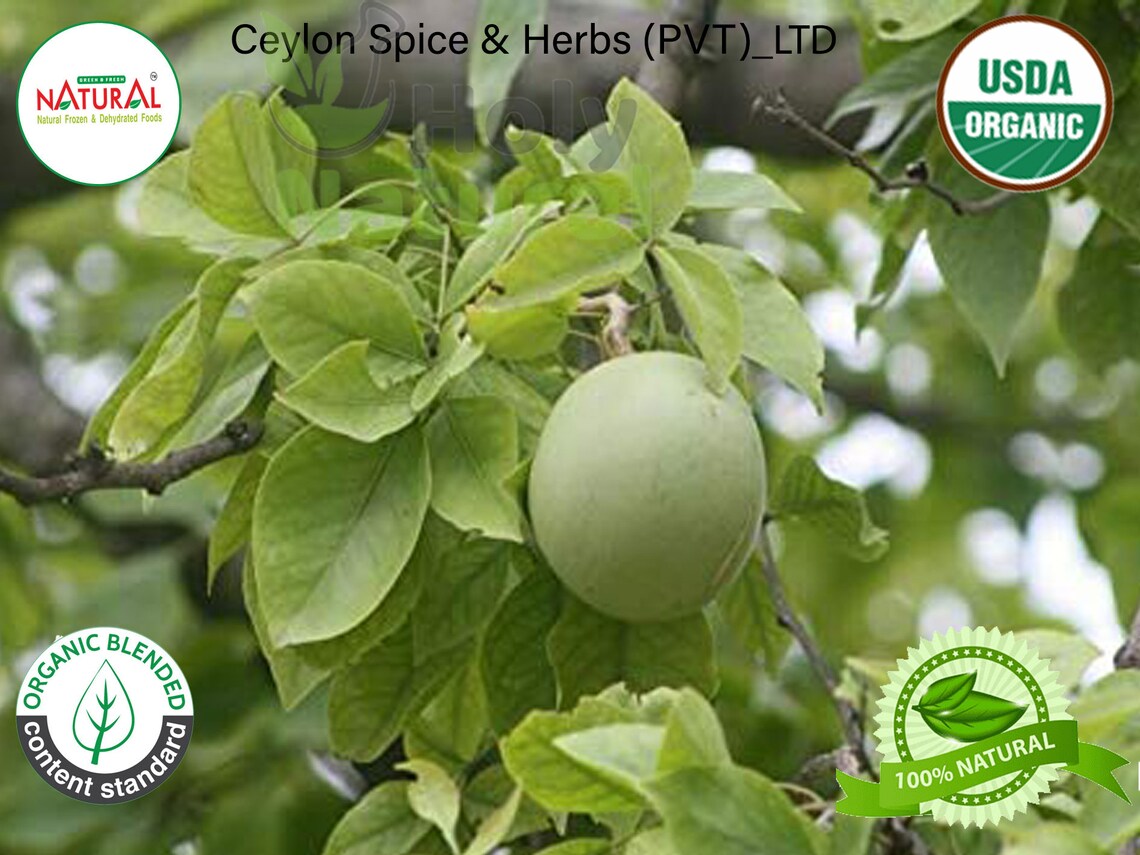 Bel Leaves bael Leaves wood Apple organic Dried Bael Leaves Etsy