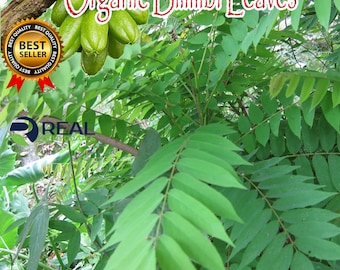 Bilimbi Leaf ,1 KG BULK Organic Bilimbi Leaves ,Averrhoa bilimbi, freshly Pick air dry to order
