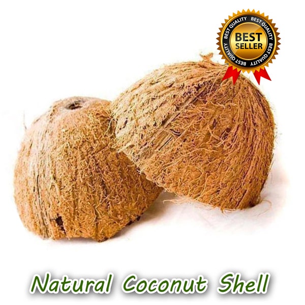 Coconut Shell Half ,Natural With Fiber, Without Fiber varnished, For Handicrafts ,Tropical Decoration Coconut Shell Half