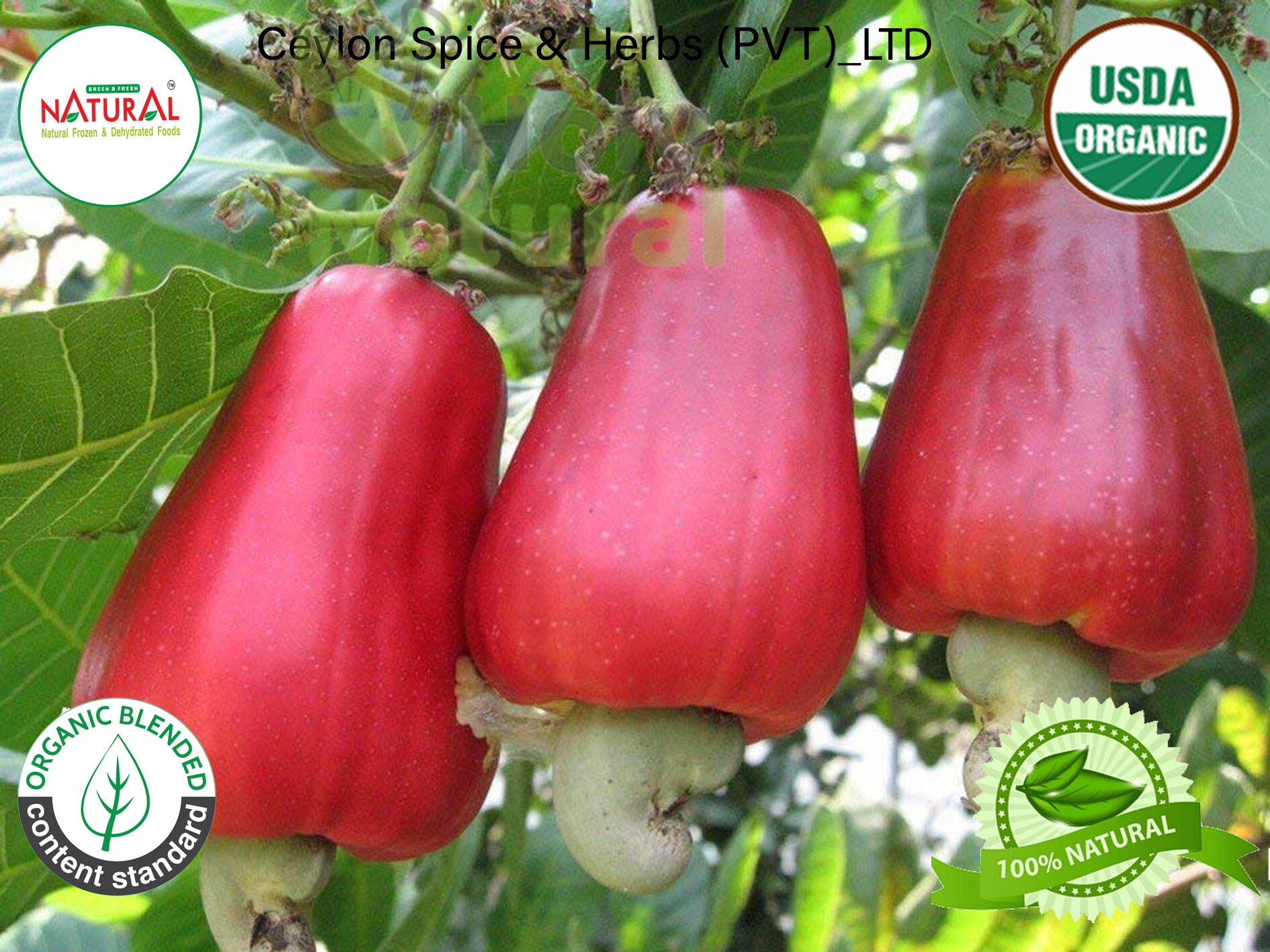 Quality products BEST Price Guaranteed Make Sure You Already Have it 5x