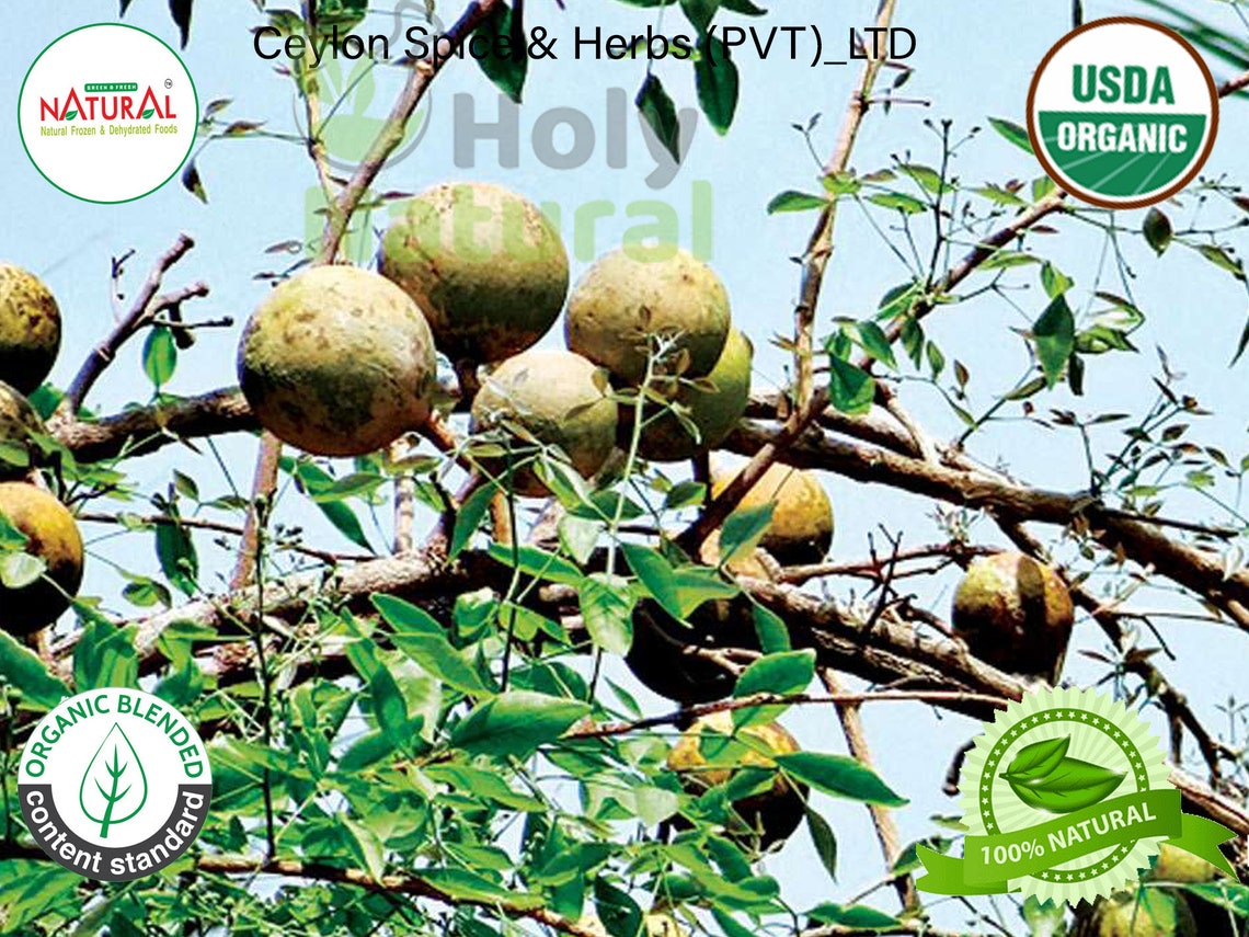 Bel Leaves bael Leaves wood Apple organic Dried Bael Leaves Etsy