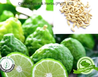 10-100 Kaffir Lime Seeds, Makrut lime, Citrus hystrix ,Kaffir Lime Seeds free shipping, Grown By Home Yard, Freshly Makes To Order