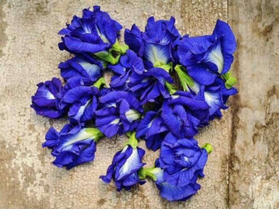 Dried Blue Butterfly Pea Flower Benefits at Marcia Strawn blog