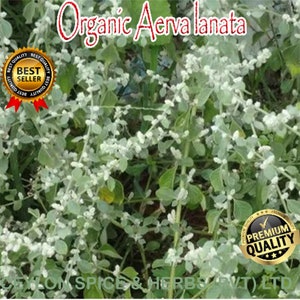 Organic Aerva lanata ,1 KG ,Balipoovu ,Magical Ayurveda ,Freshly Picked Dehydrate To Order ,Natural Color ,Not Sun Dried image 2