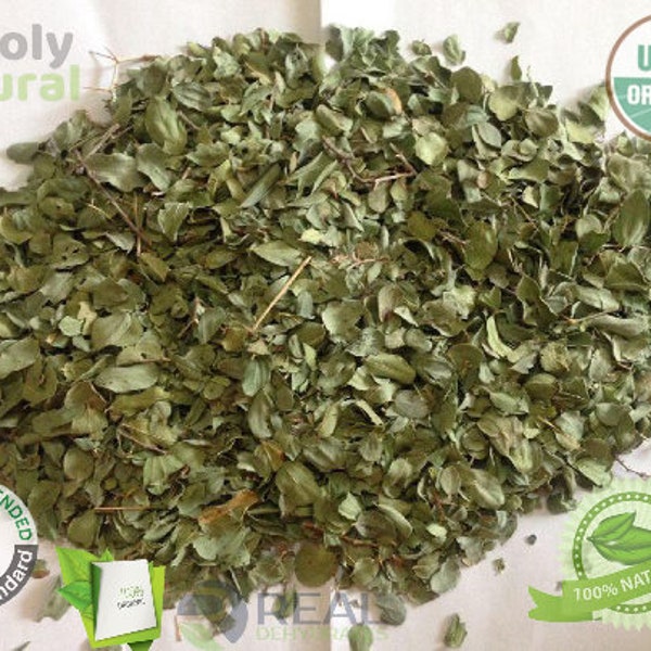 Feuilles de sidr, feuilles de jujube bio en vrac de 1 KG, extrait de poudre, fraîchement cueillies et fabriquées sur commande, Sidr, Ziziphus spina