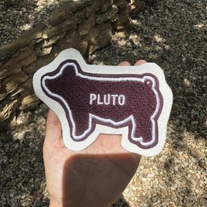 Puede incluir: Un parche de Pluto marrón y blanco con forma de perro. El parche tiene un aspecto texturizado y el nombre "Pluto" está bordado en letras blancas. El parche se sostiene en una mano.