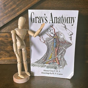 Vintage medical book, Gray's Anatomy, copyright 1995, medical illustrations