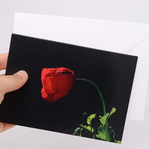 May include: A greeting card featuring a vibrant red poppy against a black background. The card is held with a white envelope, creating a striking contrast. The poppy's petals are detailed, and the stem curves gracefully.