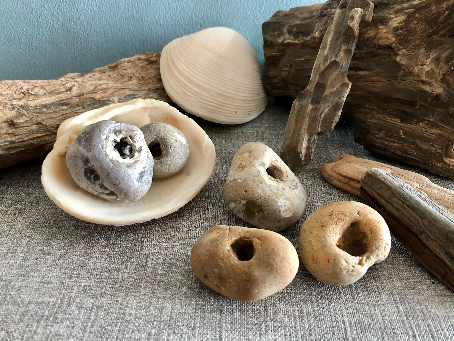 7 Natural Hag Stones Lot Unque Wtches Hagstones Holey Odn Stone Holy
