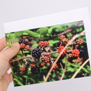 Wild Blackberries || Greeting Card / Notelet